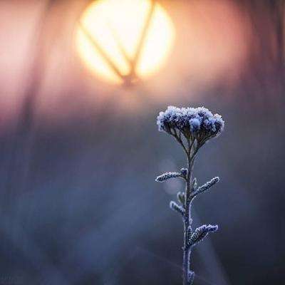 乐鱼(中国)官方网站