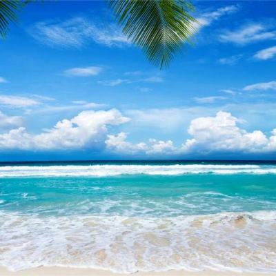 皇冠2登录平台首页截图