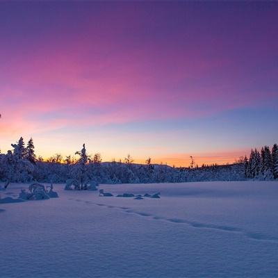 亚虎娱乐app下载手机app下载